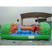 sport inflatable game